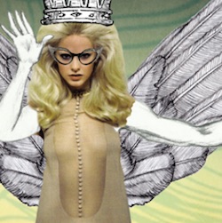 Vanitas - Birds Piled Loosely