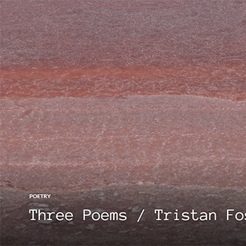 Three Poems by Tristan Foster in RIC Journal